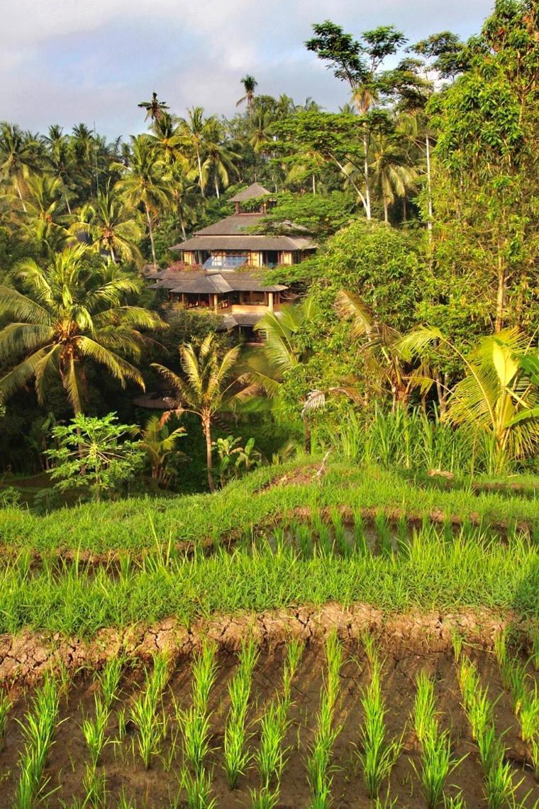 Lumina Residences And Wellness Sanctuary Ubud Exterior foto